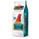 Mixtura Premifood Canario Energy jarad Comida para canarios