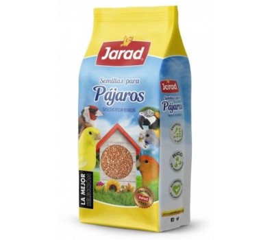 Semilla de Rábano 