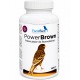 PowerBrown | El potenciador perfecto de feomelaninas para el plumaje de sus aves