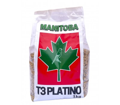 Mxt. Canarios T3 Platino (Manitoba)