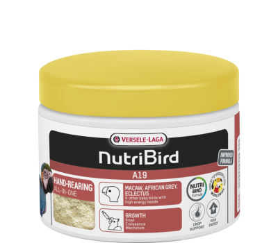 Nutribird A19 (papilla para crías de loros)