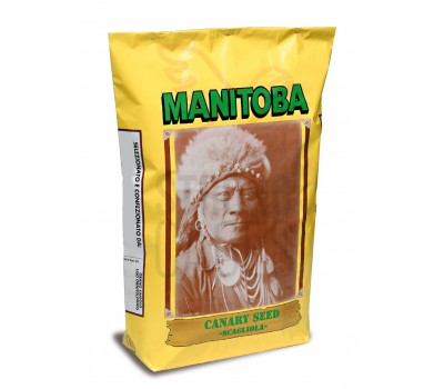 Alpiste Canada Extra Manitoba