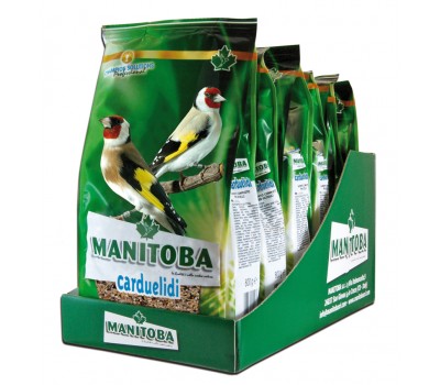 Mxt. Jilgueros Carduelidi + chia.