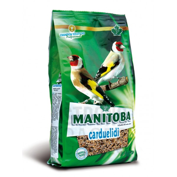 Mxt. Jilgueros Carduelidi + chia Food goldfinches and wild Mxt. Jilgueros Carduelidi + chia Food goldfinches and wild