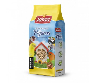 Paniset / panizo en grano