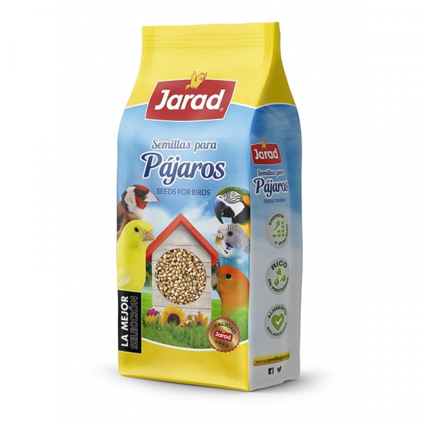 Paniset / panizo en grano Seeds Paniset / panizo en grano Seeds