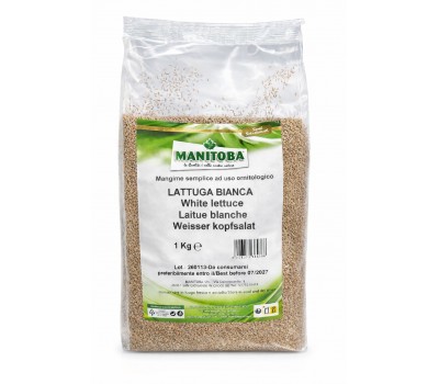 Lechuga Blanca Manitoba 1Kg