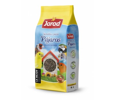 Negrillo