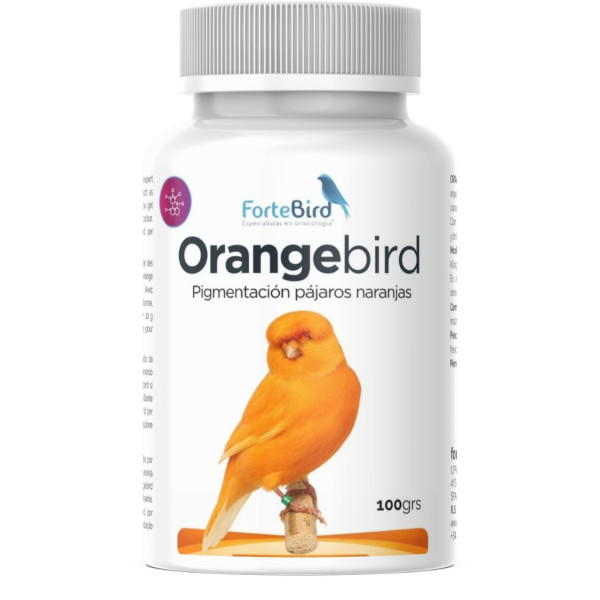 OrangeBird - Para canarios  Norwich y Yorkshire Bird coloring