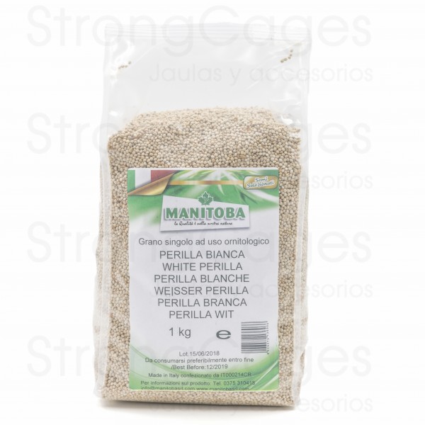 Perilla Blanca Manitoba Semillas Perilla Blanca Manitoba Semillas