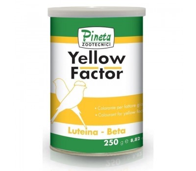 Pineta Yellow Factor