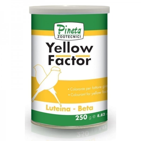 Pineta Yellow Factor