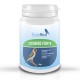 Coxbird forte | Suplemento para coccidios Coxbird forte | Suplemento para coccidios