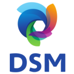 DSM