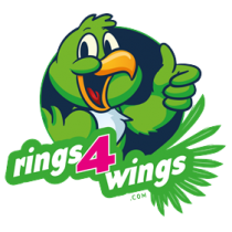 Rings Wings 4