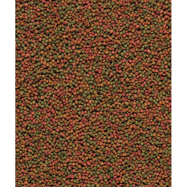 Alimento para crías de canarios NutriBird C19 Comida para canarios Alimento para crías de canarios NutriBird C19 Comida para canarios