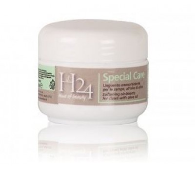 H24 Special Care