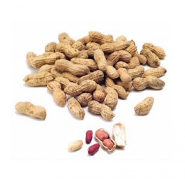 Peanut in shell 1 kg Seeds