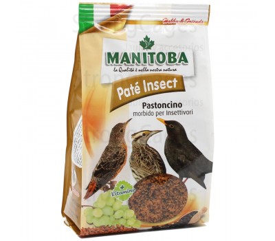 Pasta Insect Morbida 