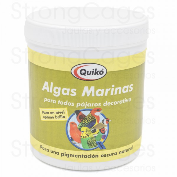 quiko algas marinas quiko algas marinas