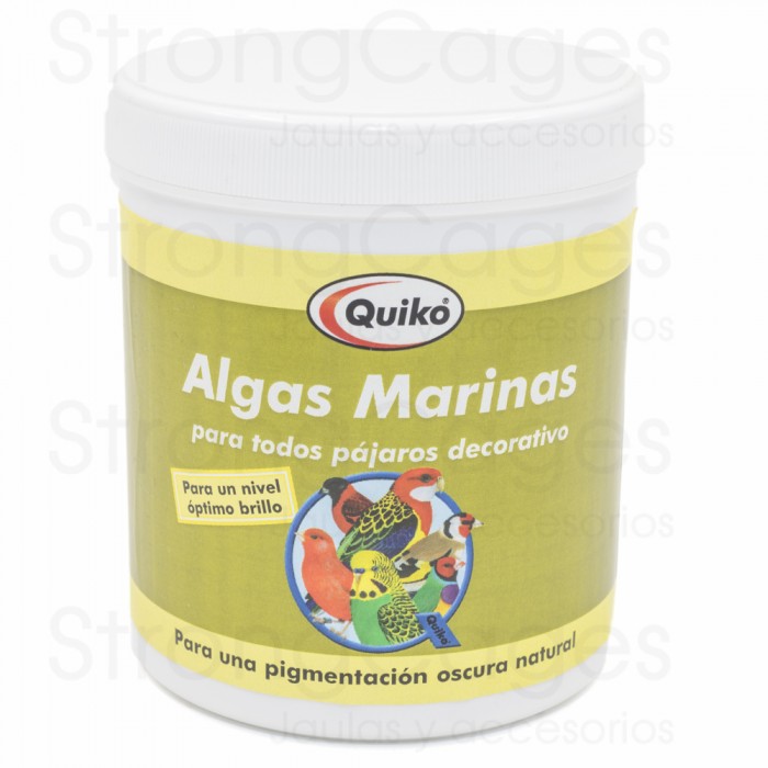 quiko algas marinas quiko algas marinas
