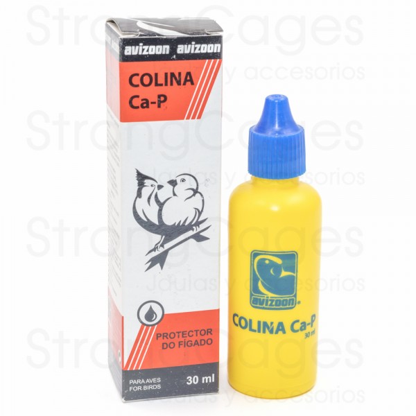 Colina Ca/P 30 ml (Evita los problemas hepáticos y problemas digestivos) Avizoon