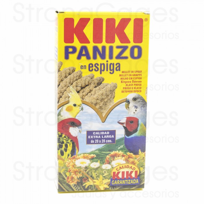kiki panizo espiga kiki panizo espiga