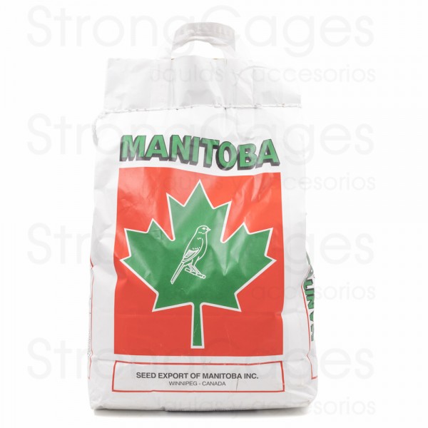 Mxt. Canarios T3 Platino (Manitoba) Mxt. Canarios T3 Platino (Manitoba)