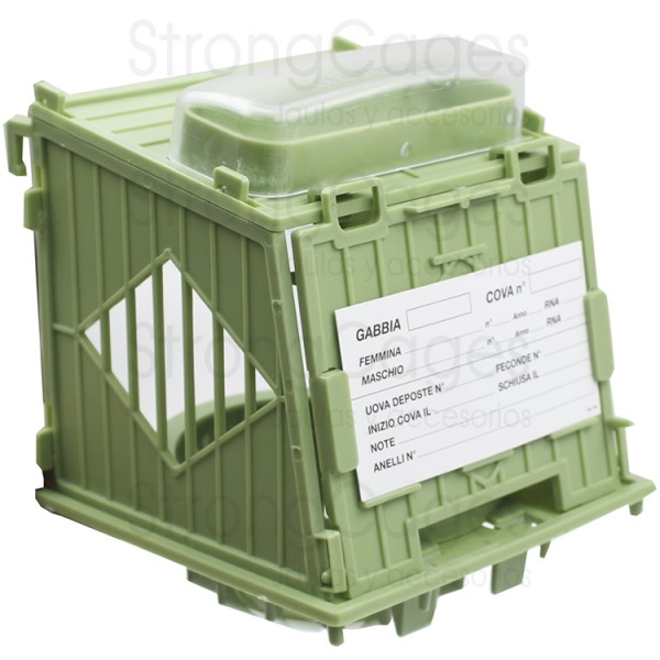 Green external nest with egg holder Green external nest with egg holder