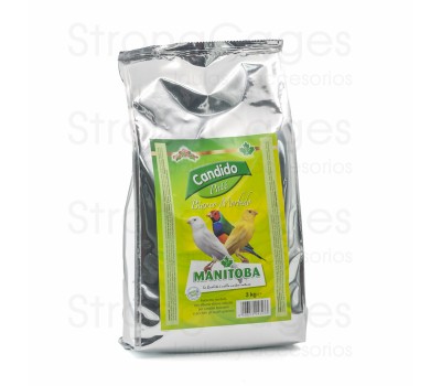 Pasta Blanca Morbida CANDIDO 3 kg.