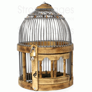partridge Cages