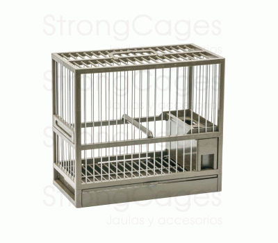 C - 1 Green cage with grid