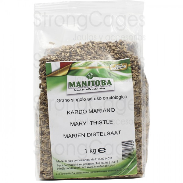 Cardo Mariano Manitoba Seeds