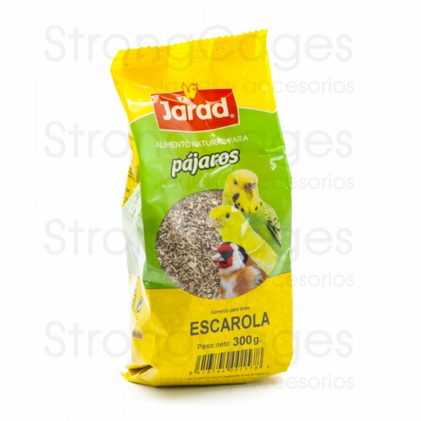 Escarola Escarola