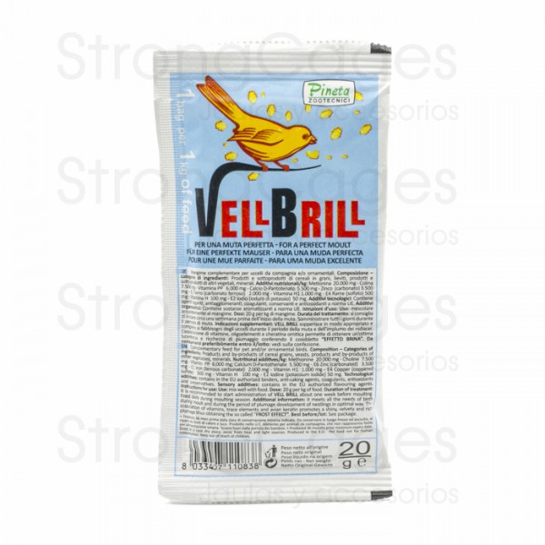Vell Brill Pineta | Mudas Muda Vell Brill Pineta | Mudas Muda