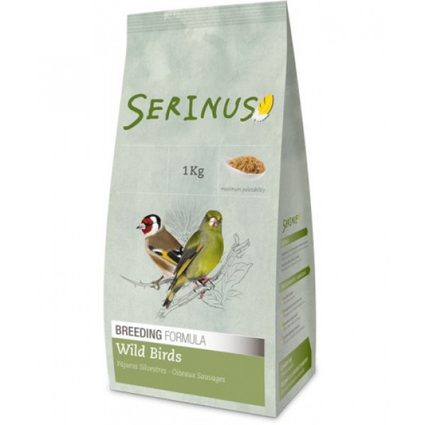 Serinus Silvestre Cría y Celo Food goldfinches and wild