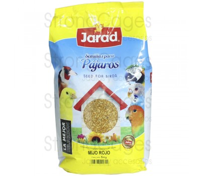 Mijo Rojo Jarad