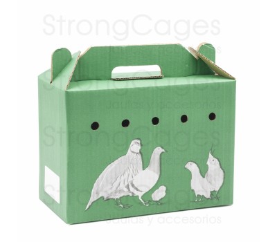 Transportin carton grande