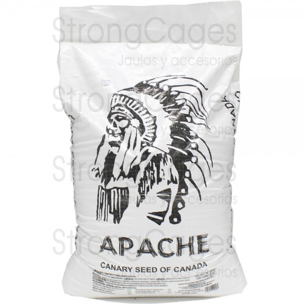 Alpiste Apache Alpiste Apache