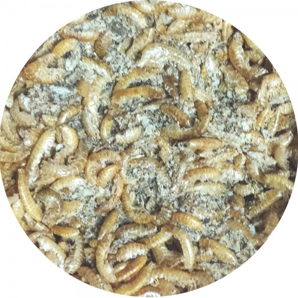 Bote Gammarus deshidratados + Cardo mariano triturado Bote Gammarus deshidratados + Cardo mariano triturado