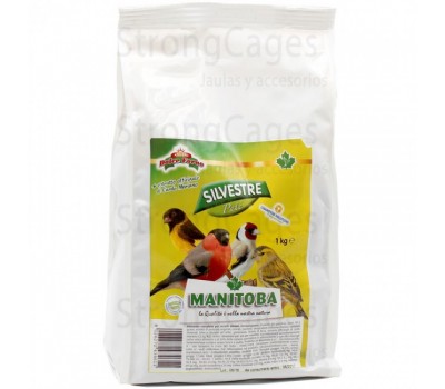Pasta Jilgueros Morbida 