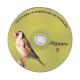 CD canto para enseñar jilgueros noveles cd - canto CD canto para enseñar jilgueros noveles cd - canto