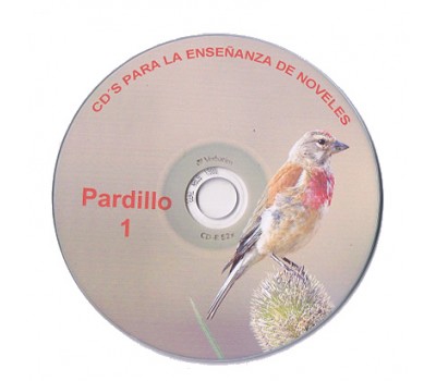 pardillo