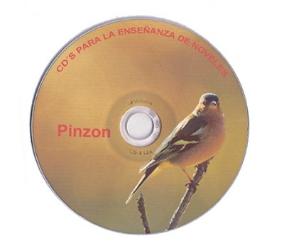 pinzon