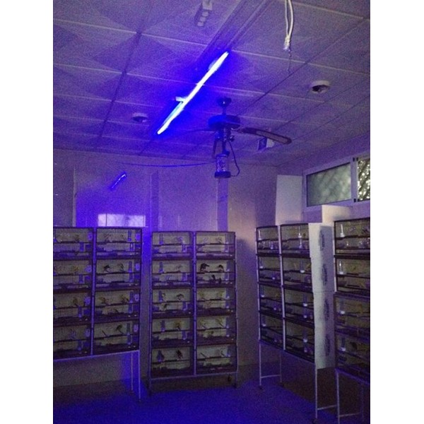 Tira Leds 220 V Luz Nocturna Tira Leds 220 V Luz Nocturna