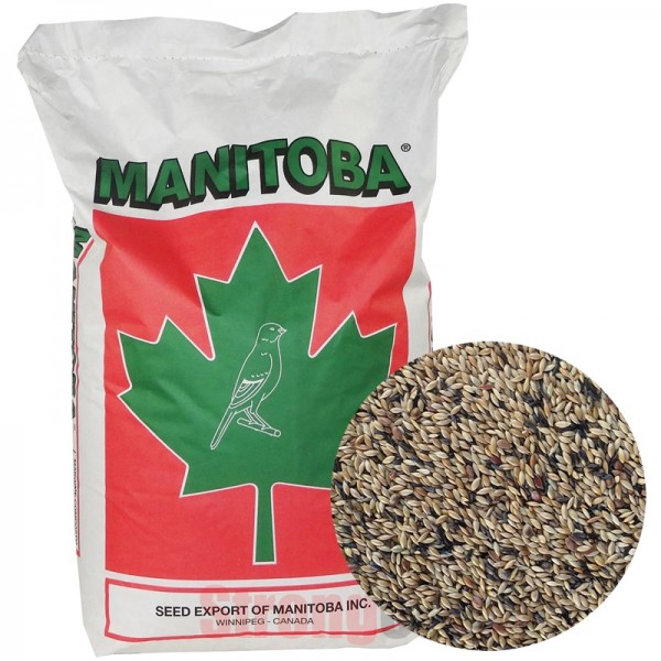 Mxt. Canarios T3 sin perilla (Manitoba) Mxt. Canarios T3 sin perilla (Manitoba)