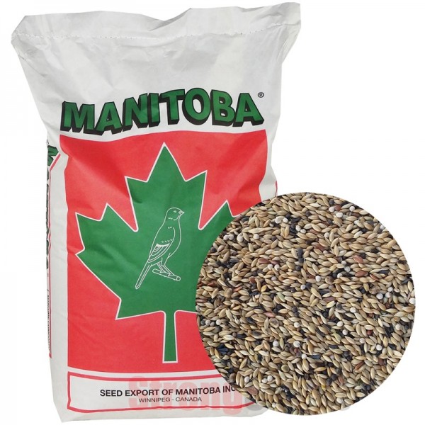 Mxt. Canarios T5 (Manitoba) Mxt. Canarios T5 (Manitoba)