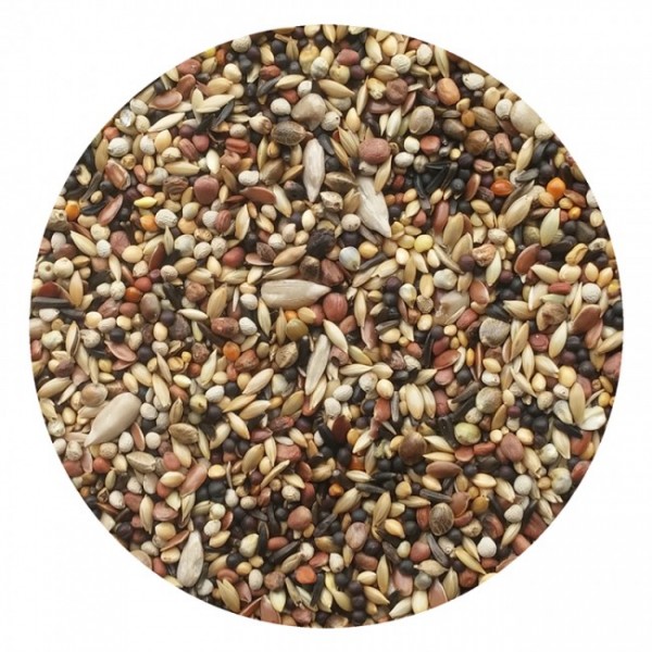 Mixtura salvaje suprema 5 Kg Mixtura salvaje suprema 5 Kg