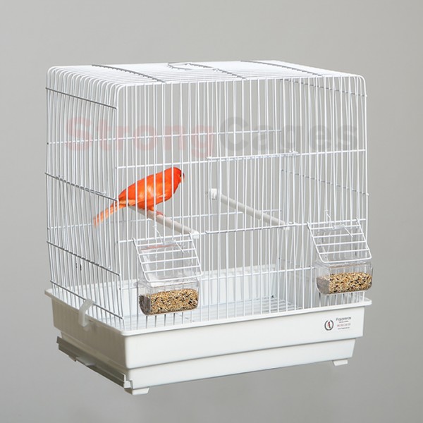 Jaula Diamante de Gould Jaula Diamante de Gould