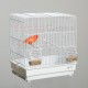 Jaula Diamante de Gould Jaula Diamante de Gould